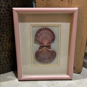 Vintage art featuring two scallop shells in a shadowbox frame